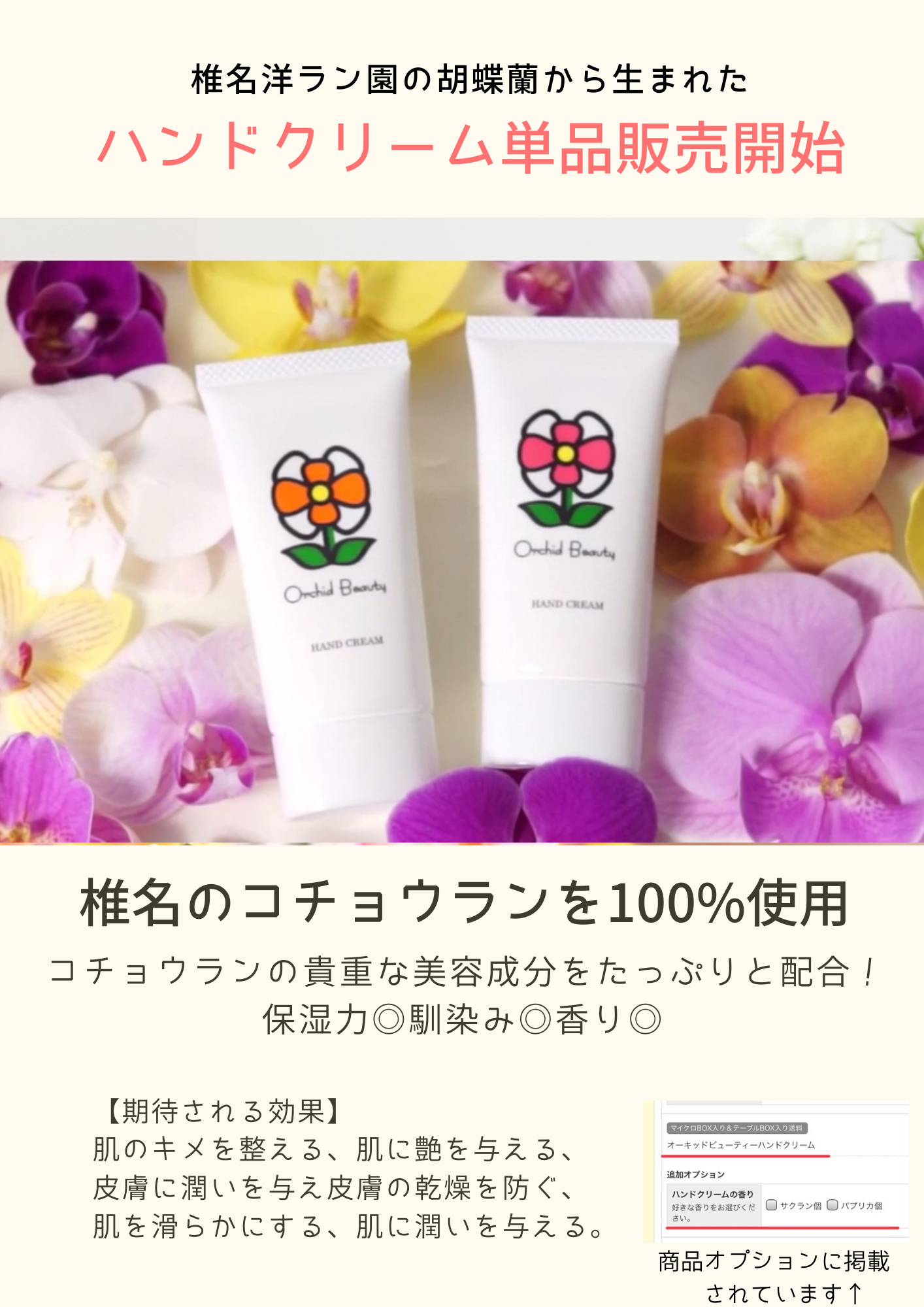 Orchid Beauty | 胡蝶蘭卸ranran｜公式通販｜法人様専用BtoBサイト ...